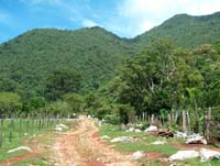 el Cielo, tamaulipas, biosfera, biosfera el cielo, birding, birding in mexico